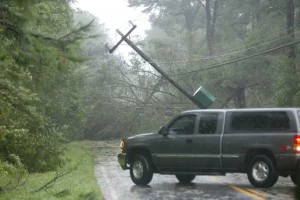 Downed Power Line