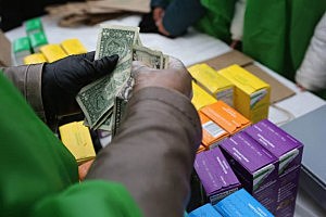 Girl Scout Sells Cookies From Street