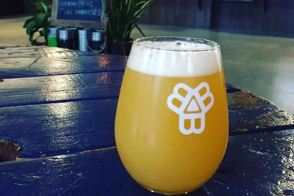 Popular Piscataquis County Brewery To Close At Summer’s End