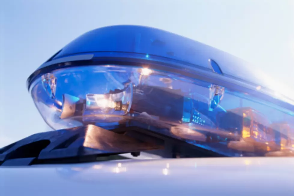 New Jersey Man Dies In Motorcycle Crash Involving Moose