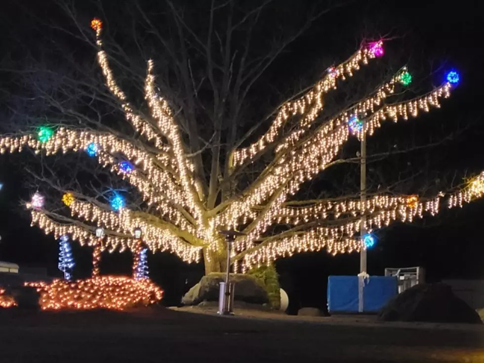 Take A Trip To Central Maine & Check Out This Winter Wonderland