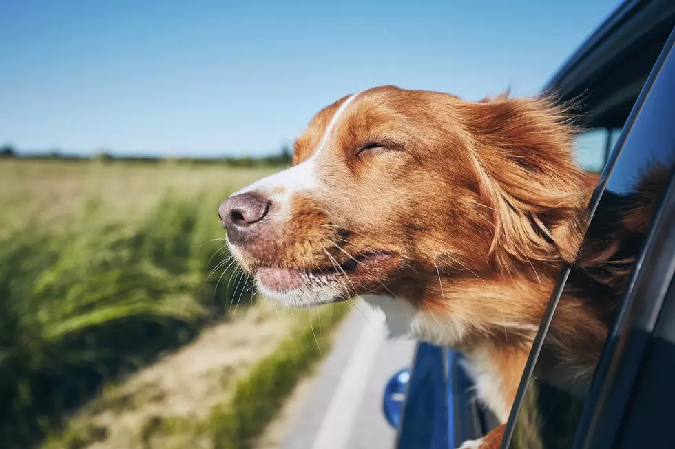 Just In Time To Hit The Road This Memorial Day Weekend: Bangor’s Favorite “Road Trip” Songs