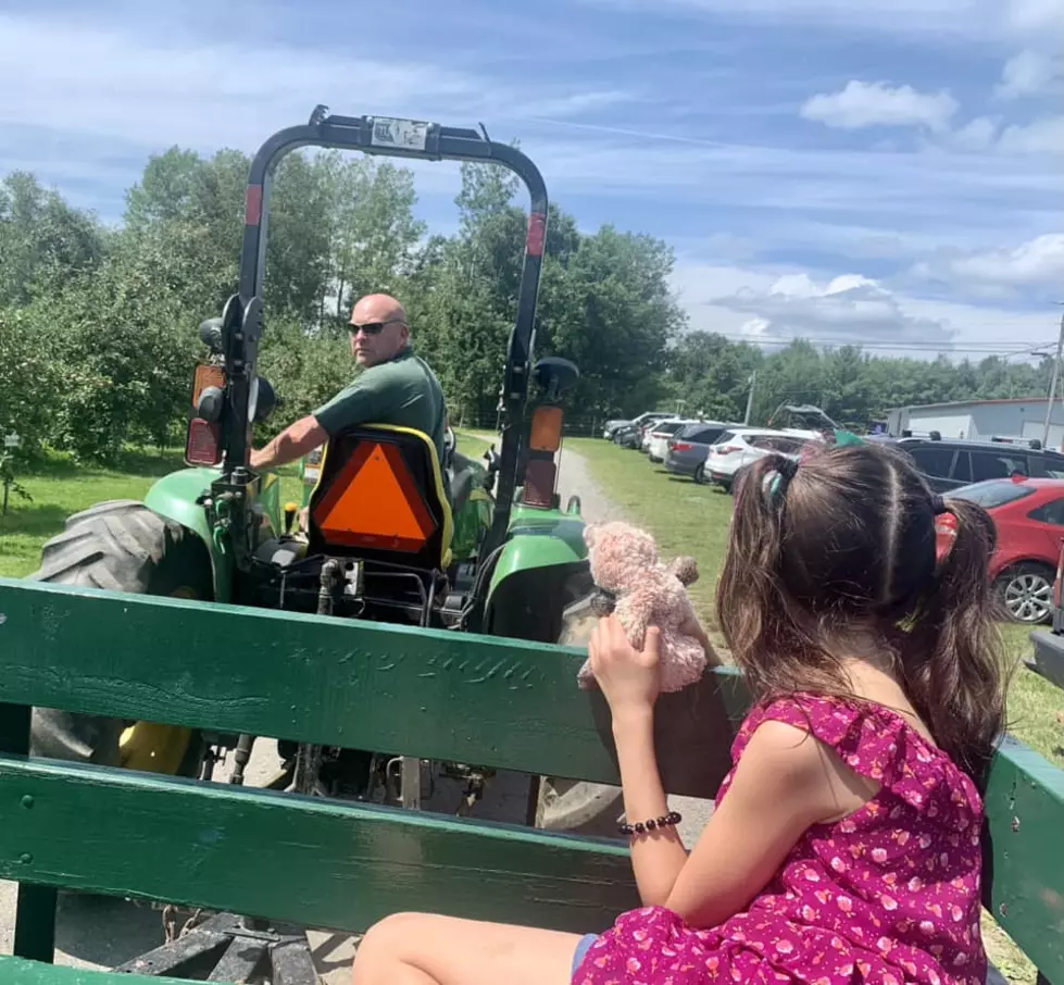 It’s All About Tractors This Saturday At Treworgy’s