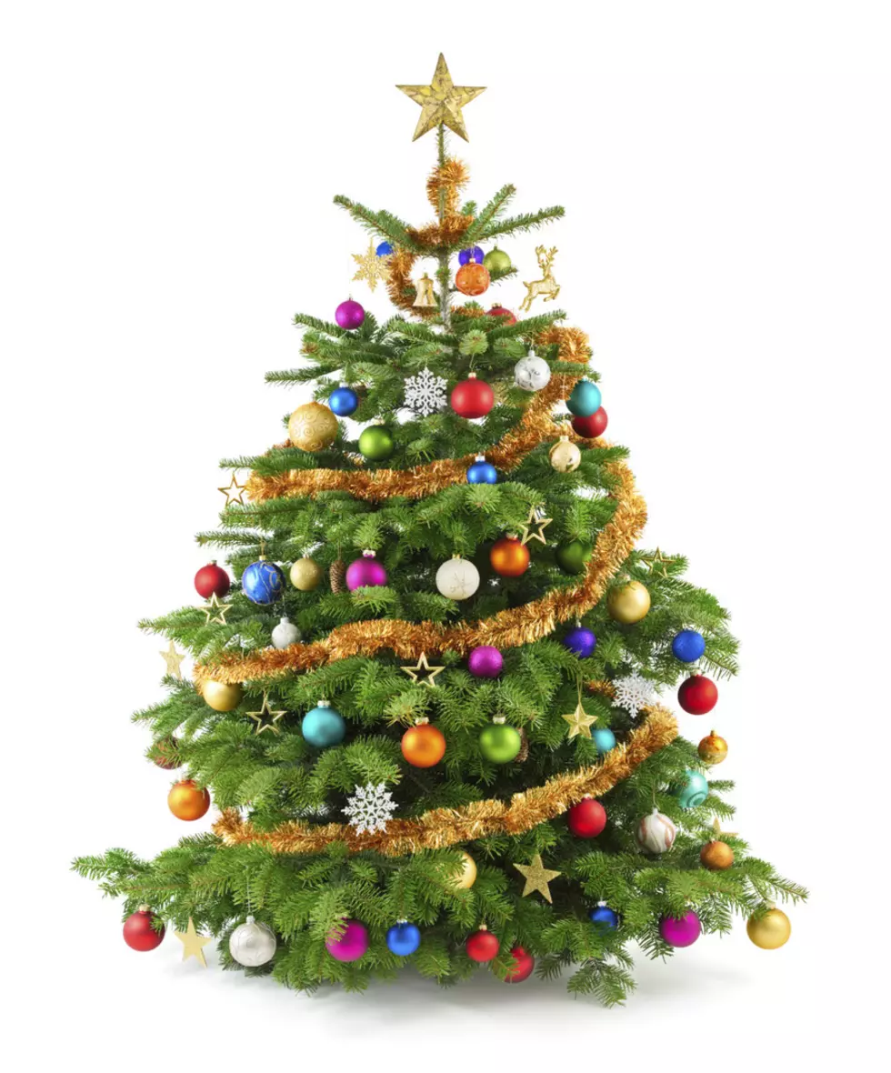 Here’s How To Get Rid Of Your Live Christmas Tree In Bangor & Brewer