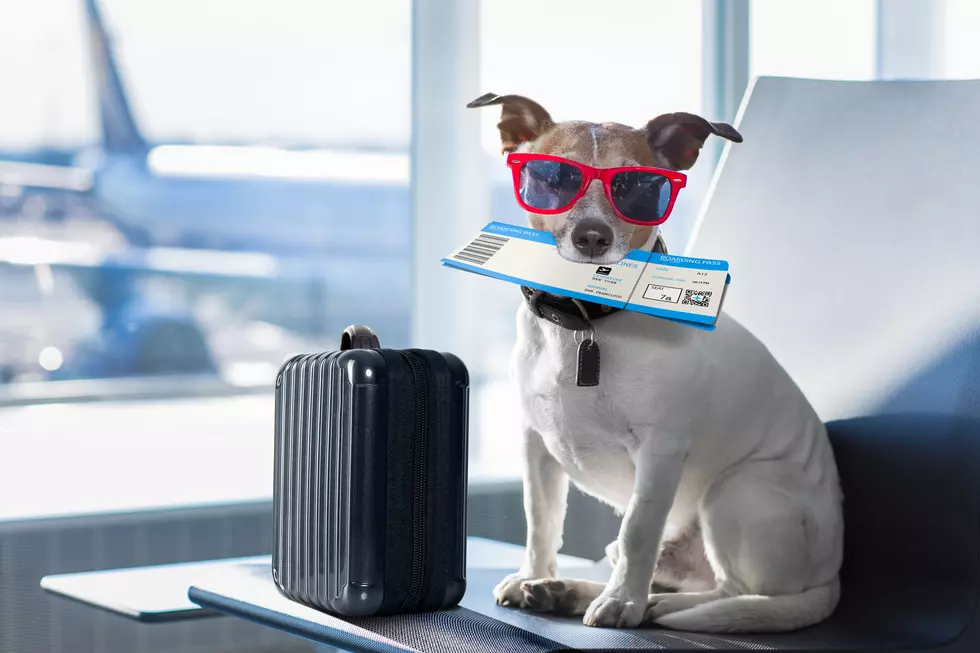 Maine Folks Can’t Fly with These 12 Everyday Items in Their Carry-On