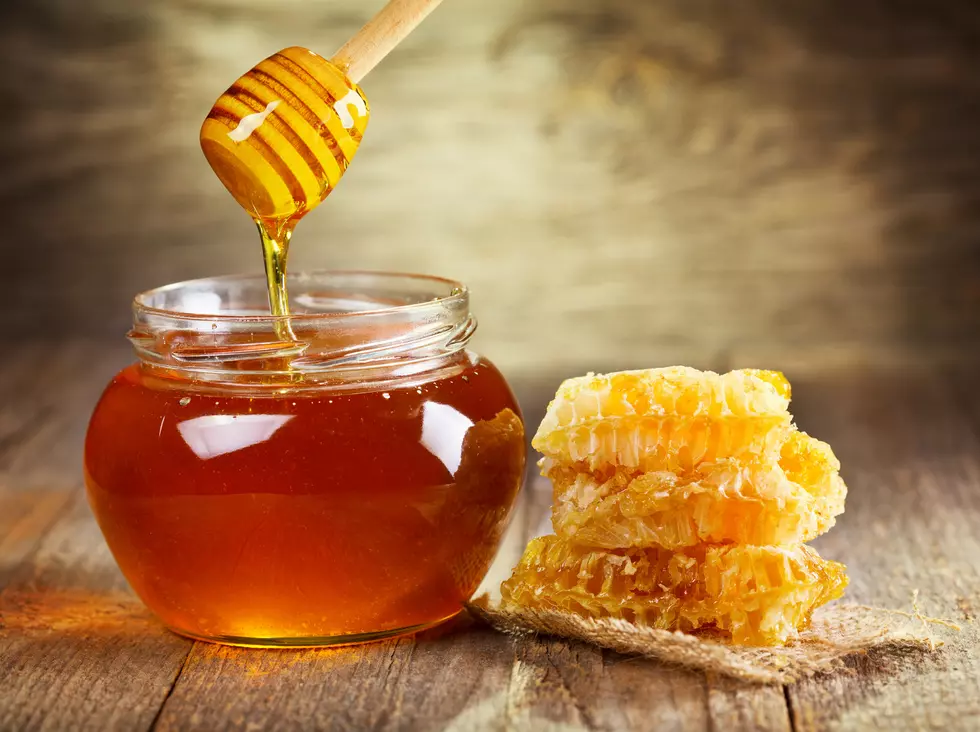 Bangor, Maine To Host First Ever ‘Maine Honey Fest’ This Summer