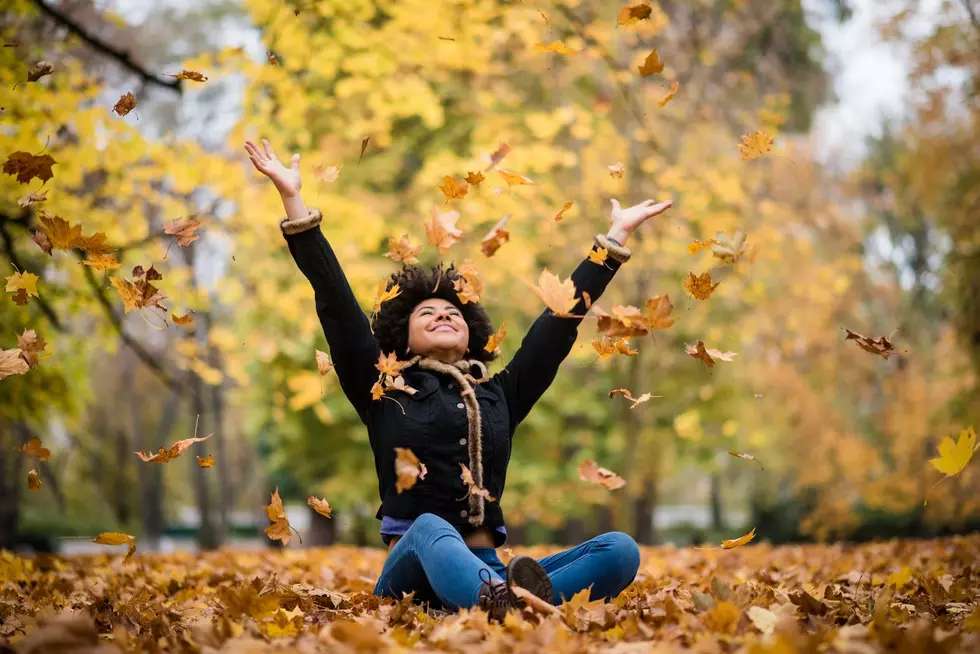 Blow ‘Em, Bag ‘Em or Rake ‘Em; Here’s How Folks In Bangor And Brewer Can Ditch Those Leaves