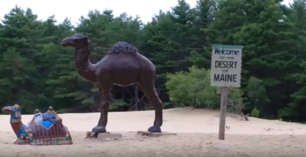 Freeport’s Famous Desert of Maine Is Up for Sale